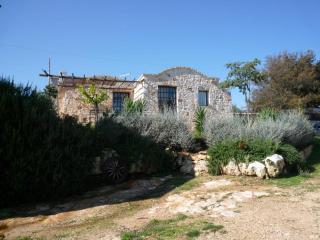 Casa Vacanze Riposo Del Vento - Cisternino - 8