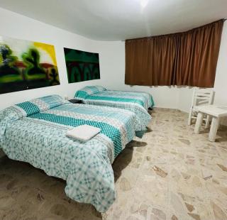 Hotel Villa 12 Orquídeas - San Juan del Río - 8