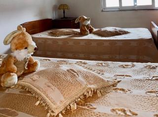 Charming Berat flat getaway - Berat - 3