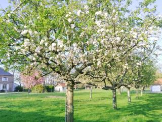 Gîte de La Petite Ferme - 8