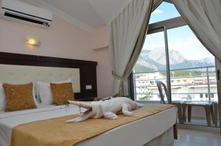 Erkal Resort Hotel - 3