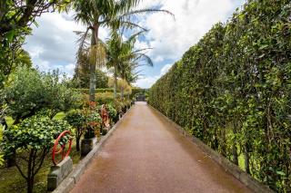 Quinta da Paz Azores - Pico da Pedra - 5