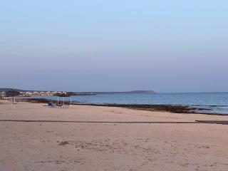 Leo Boutique Beachfront - Ayia Napa - 4
