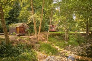 Big Sur Campground and Cabins - Big Sur - 0