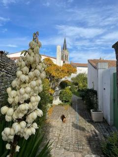 Maison de charme à la Couarde-sur-Mer - La Couarde-sur-Mer - 4