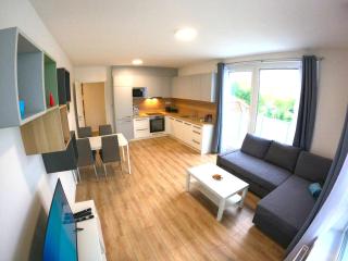 Brand new apartment by hockey stadium - 5