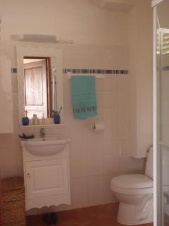 villa bois style créole - Le Robert - 3