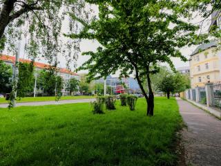 Brand new apartment by hockey stadium - 6