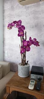 Apartamento Valentin Gomez - Buenos Aires - 6