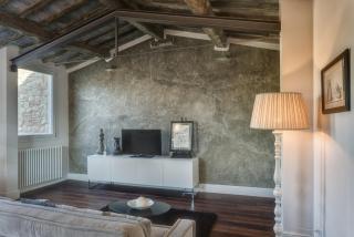 Apartments Florence Beautiful Terrace Serragli - Firenze - 4