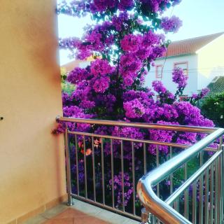 Rooms & Studio apartmani Flower - 1