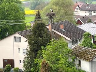 Ferienwohnung See-Ländle 1 - 3