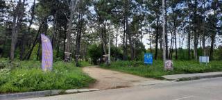 Silencio y tranquilidad - 9