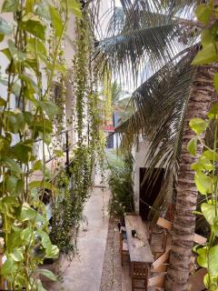 Anana Coliving - Playa del Carmen - 0