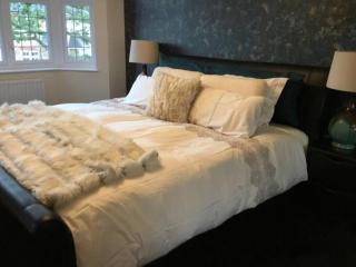 Fabulous 4 Bed Home with Gym - 5