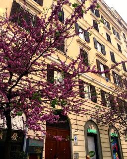 Suites in Rome - Roma - 1