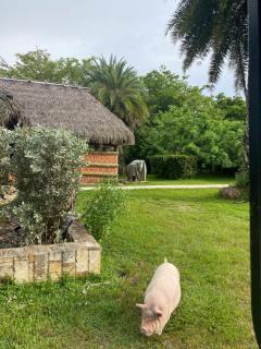 Arritola B and B Ranch - Homestead - 8