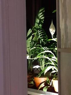 Classic Quiet 1-Bdr in Recoleta - Buenos Aires - 4