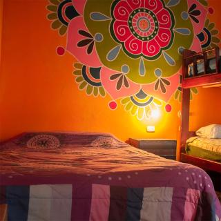 Hostal Café Tiana - Latacunga - 1