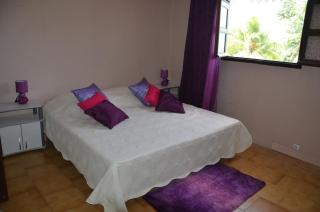 Villa les orchidées et Villa alpinia - Petit-Bourg - 1
