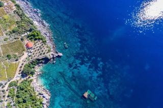 Seaside house for families with children Postup, Peljesac - 20849 - 0