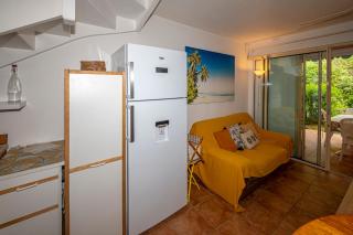 Rêve de Palmier - 7