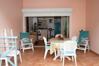 Rêve de Palmier - 3