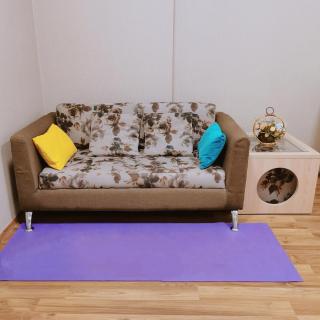 CBP treasure condo 泳池景 - 8