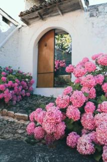 Stone Villa Gorice - 3