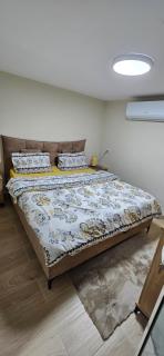 הבקתה של רומי - 4