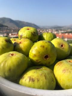Vizura - Trebinje - 2