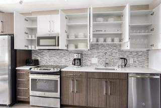 North Station 2br w wd gym nr TD Garden BOS-797 - 2