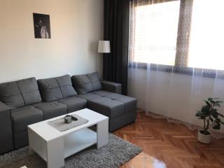 Apartman Snezana - Pirot - 3