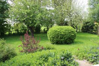Ferienhaus "Am Deich 30" - Burhave - 6