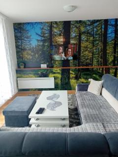 Apartman "AROMA 1"Bjelasnica - Bjelašnica - 5