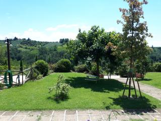 Casa VILLA IL BOSCHETTO - Certaldo - 4