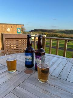 Cove Shepherds Hut - 4