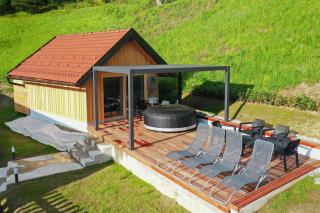 Villa Richterberg with Sauna & Hot Tub - Slovenj Gradec - 2
