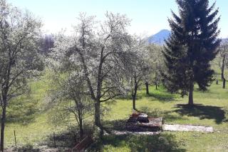 House Bosko Best place for everyone - 1