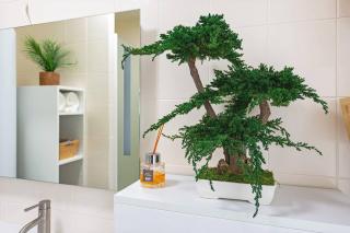 Appartement Face Mer - 2