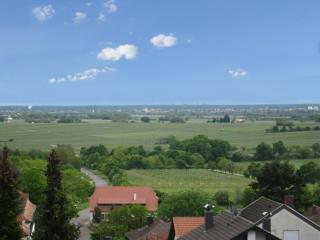 Ferienwohnung Buenavista - Neustadt an der Weinstraße - 0