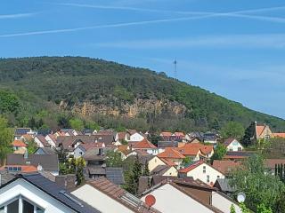 Ferienwohnung Buenavista - Neustadt an der Weinstraße - 7