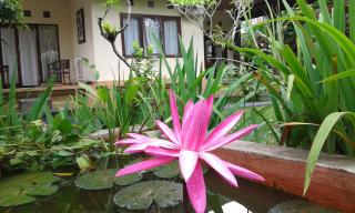 Gangga House - Ubud - 8