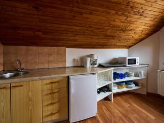 Apartment 547-1 by Interhome - Harrachov - 4