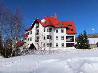 Apartment Nový Svět 562 by Interhome - 4