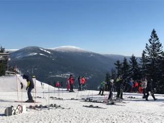 Apartment Nový Svět 562 by Interhome - 1