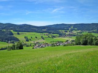 Apartment Waldfrieden by Interhome - Oberwang - 9