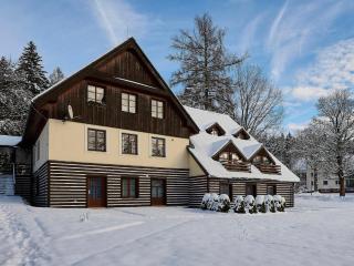 Apartment Harrachov 141 by Interhome - 3