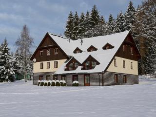 Apartment Harrachov 141 by Interhome - 1