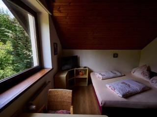 Apartment 547-3 by Interhome - Harrachov - 3